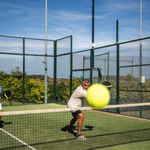 Quel budget d’entretien prévoir après le prix construction terrain de tennis initial ?
